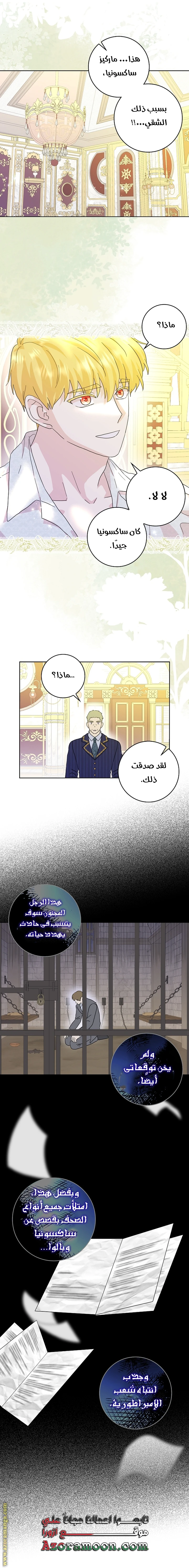 الصفحة 26