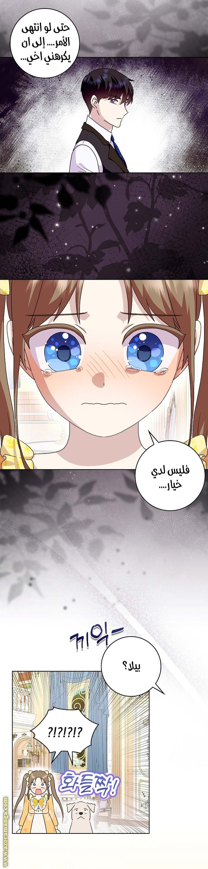 الصفحة 29