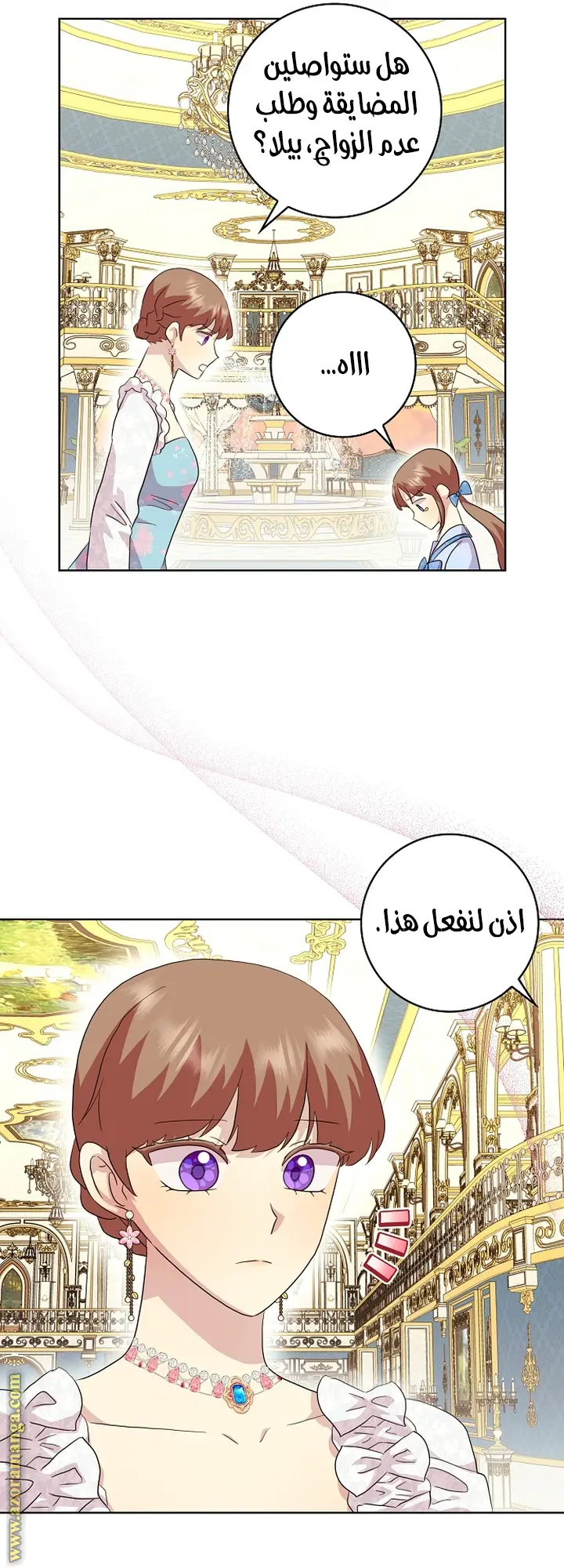 الصفحة 25