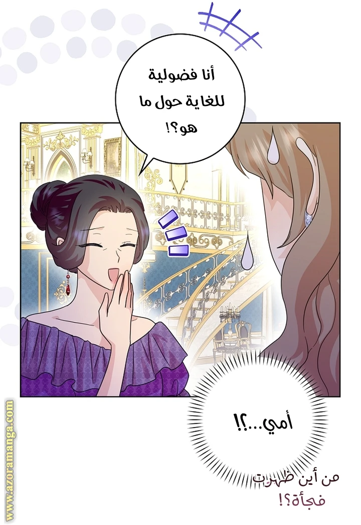 الصفحة 26