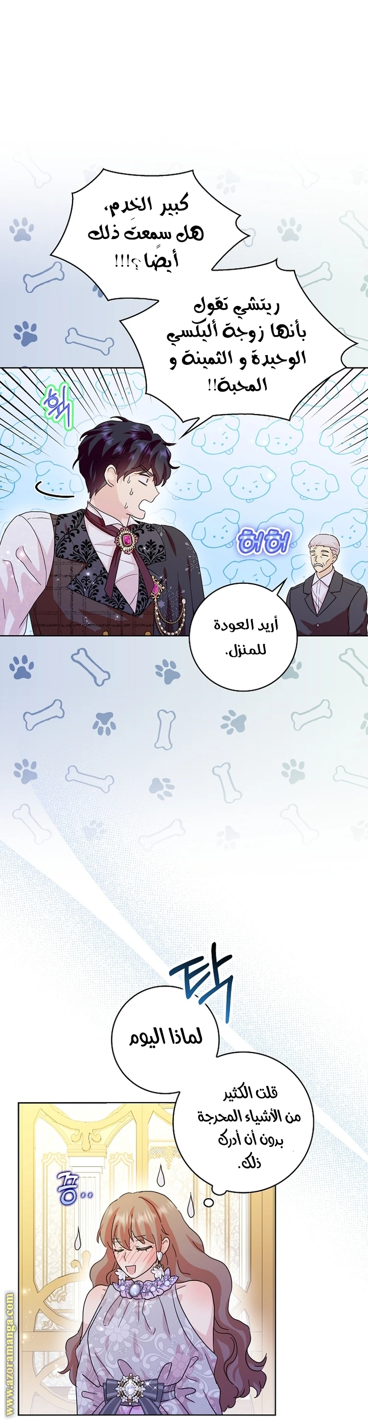 الصفحة 13