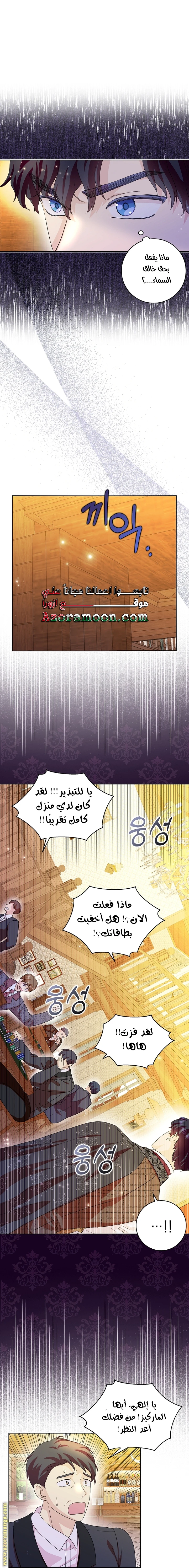 الصفحة 17