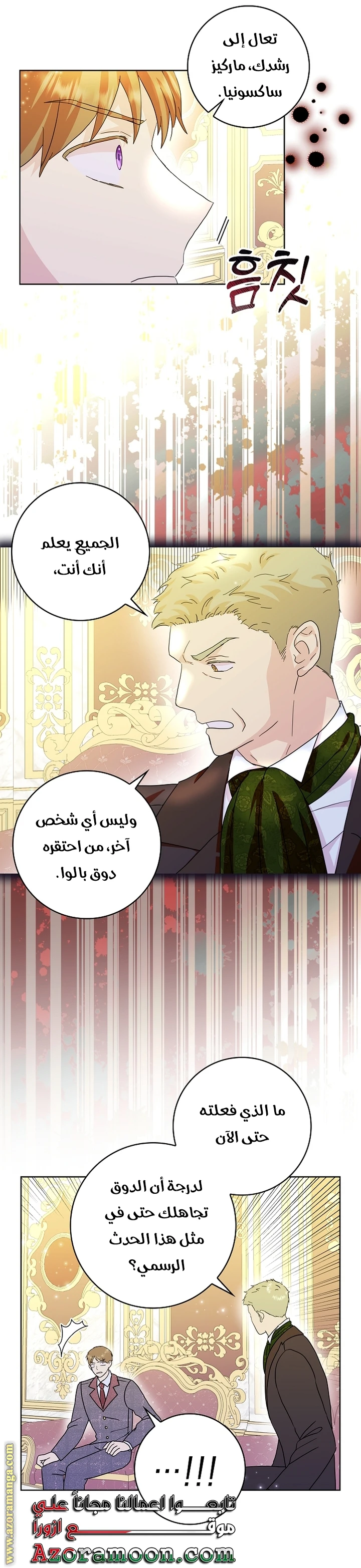 الصفحة 17