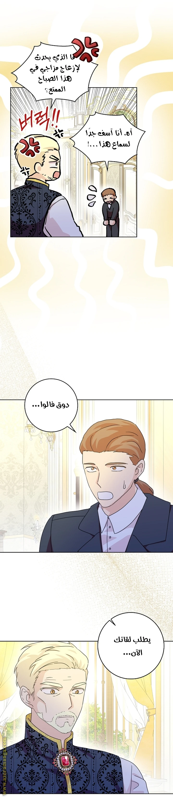 الصفحة 11