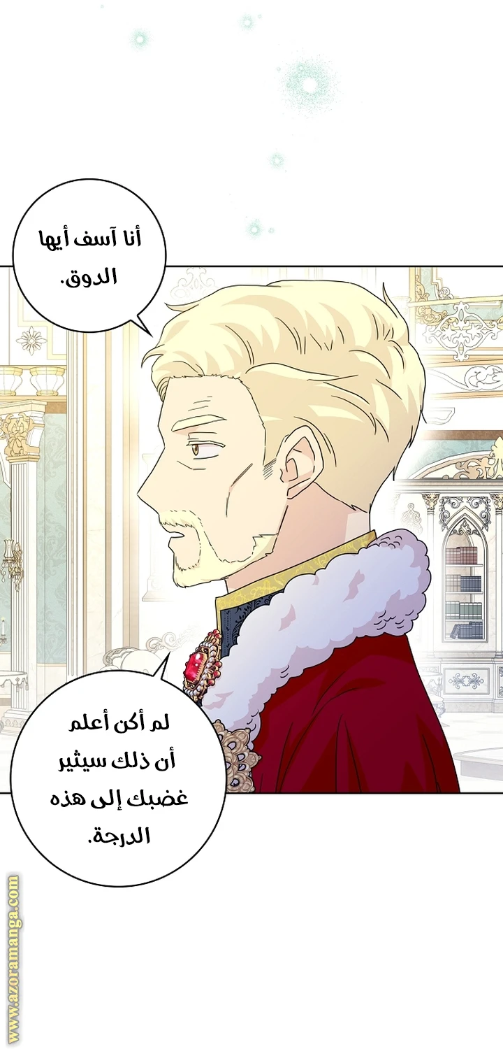 الصفحة 28