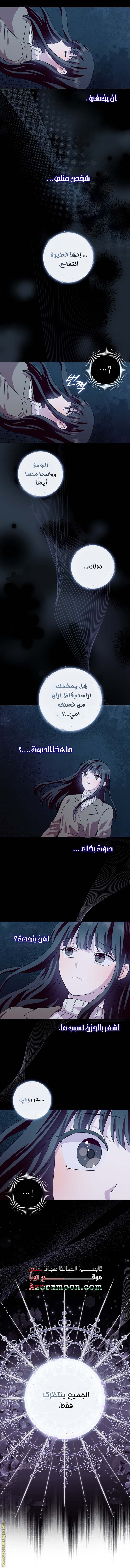 الصفحة 25
