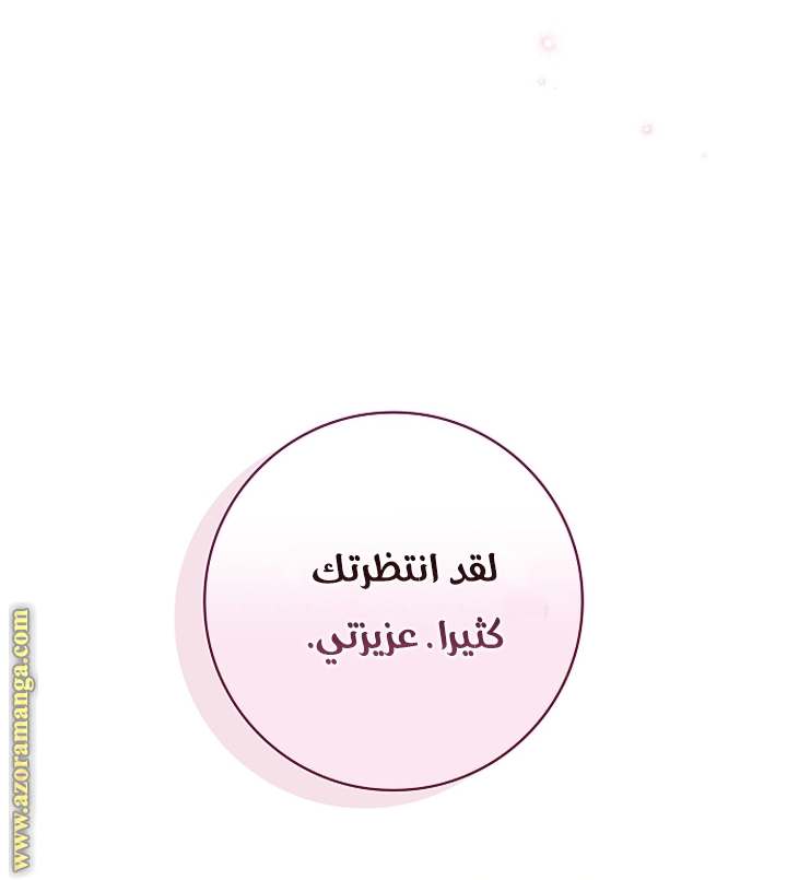 الصفحة 29