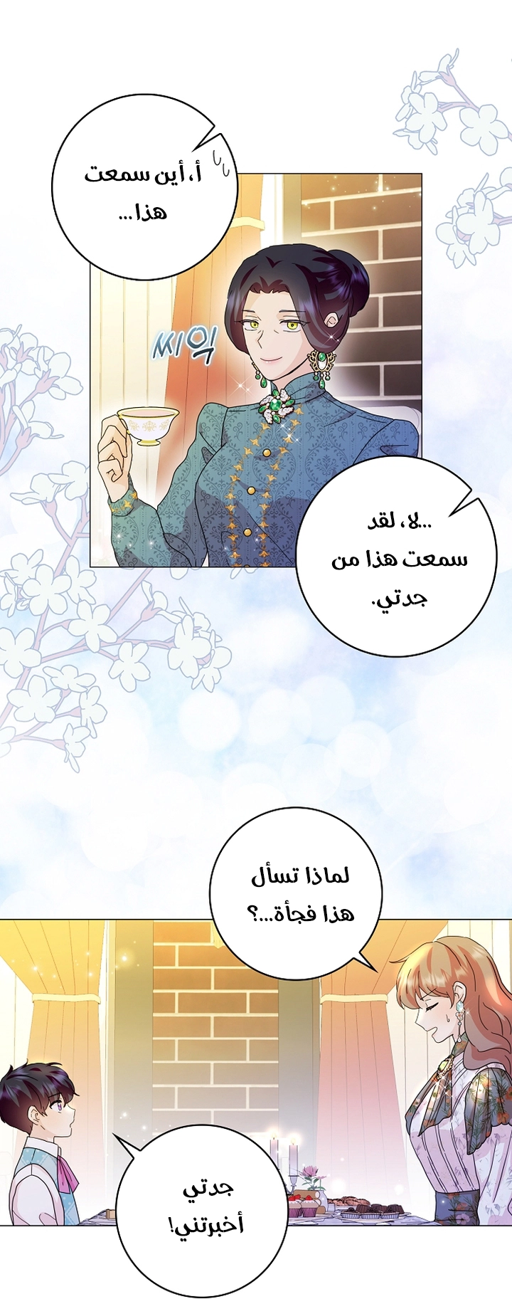 الصفحة 20