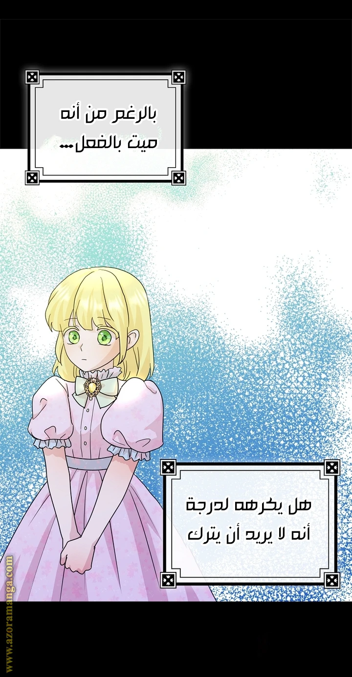 الصفحة 29