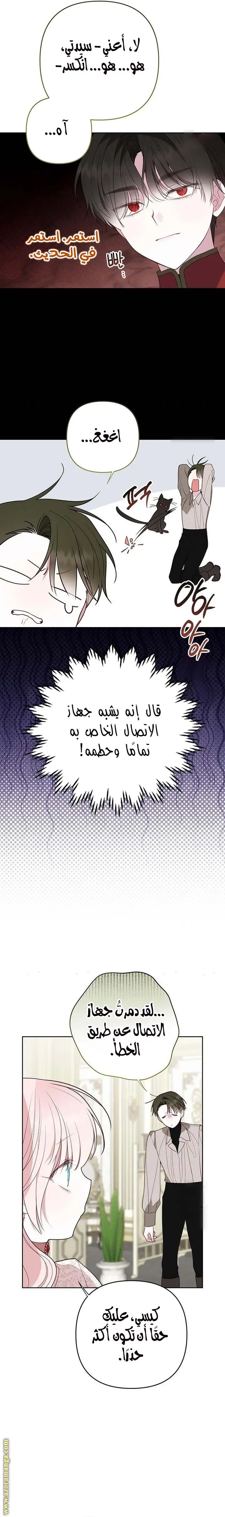 الصفحة 12