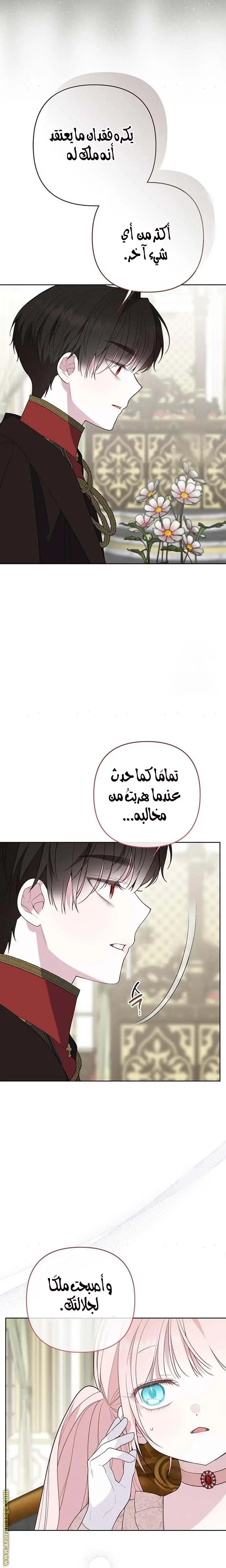الصفحة 15
