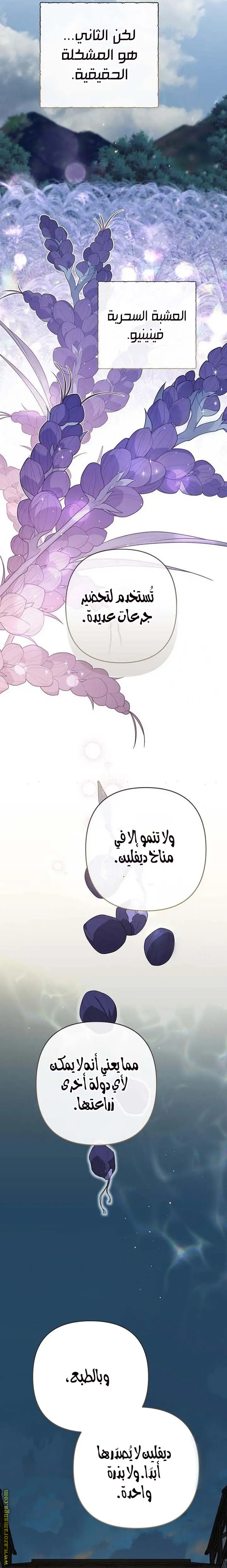 الصفحة 22