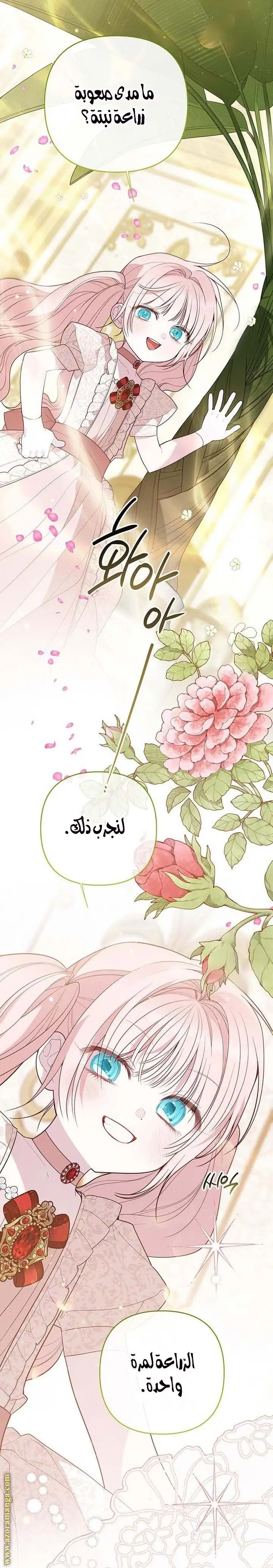 الصفحة 25