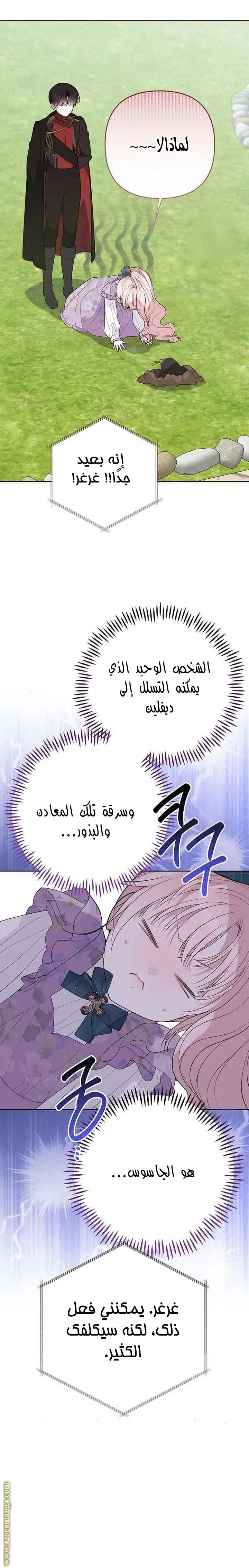 الصفحة 29