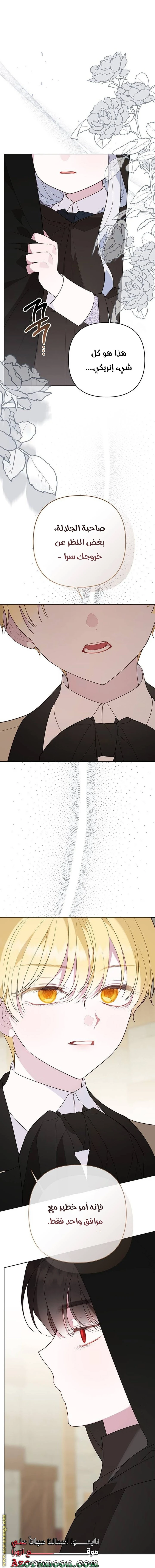 الصفحة 13