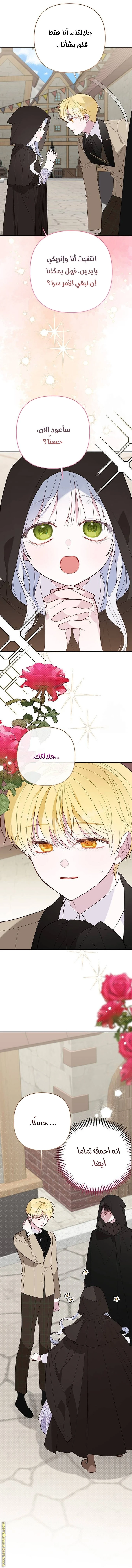 الصفحة 17
