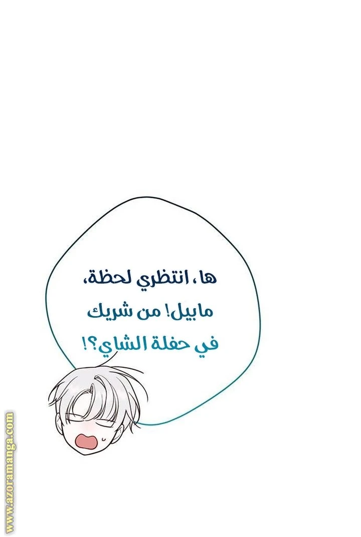 الصفحة 39