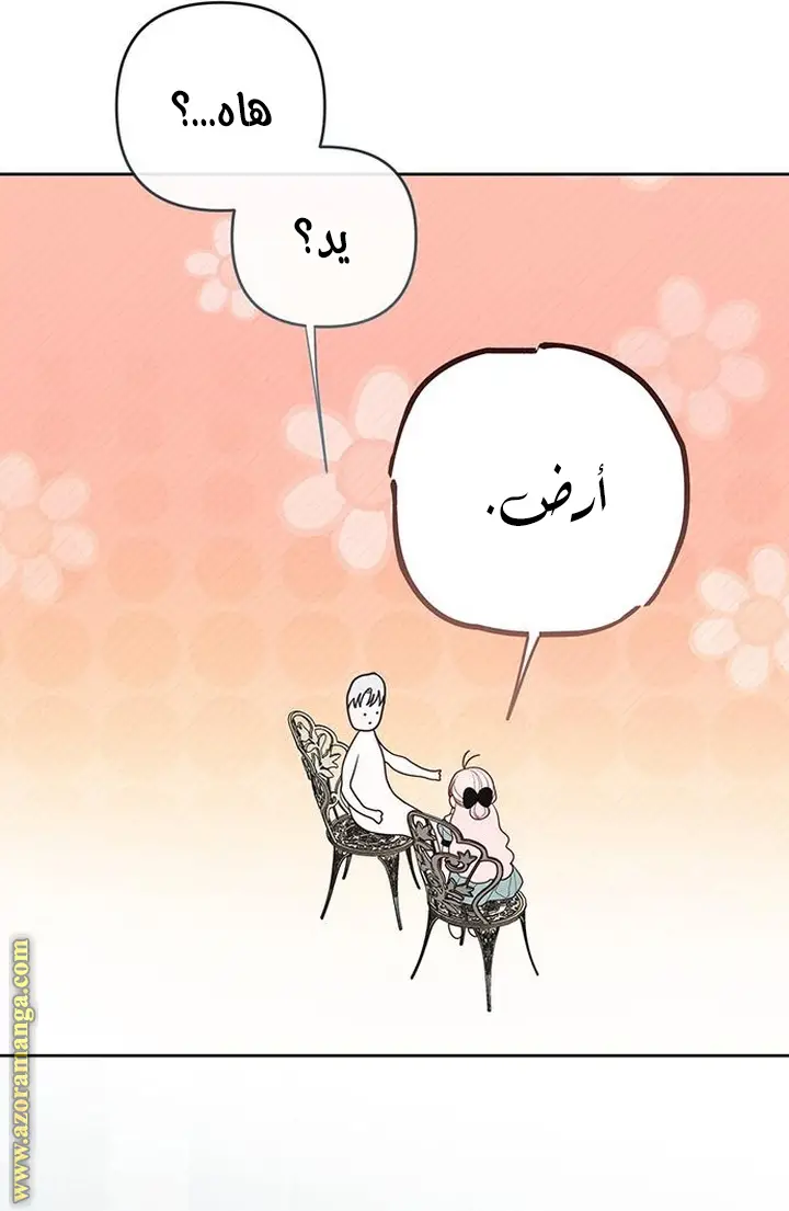 الصفحة 23