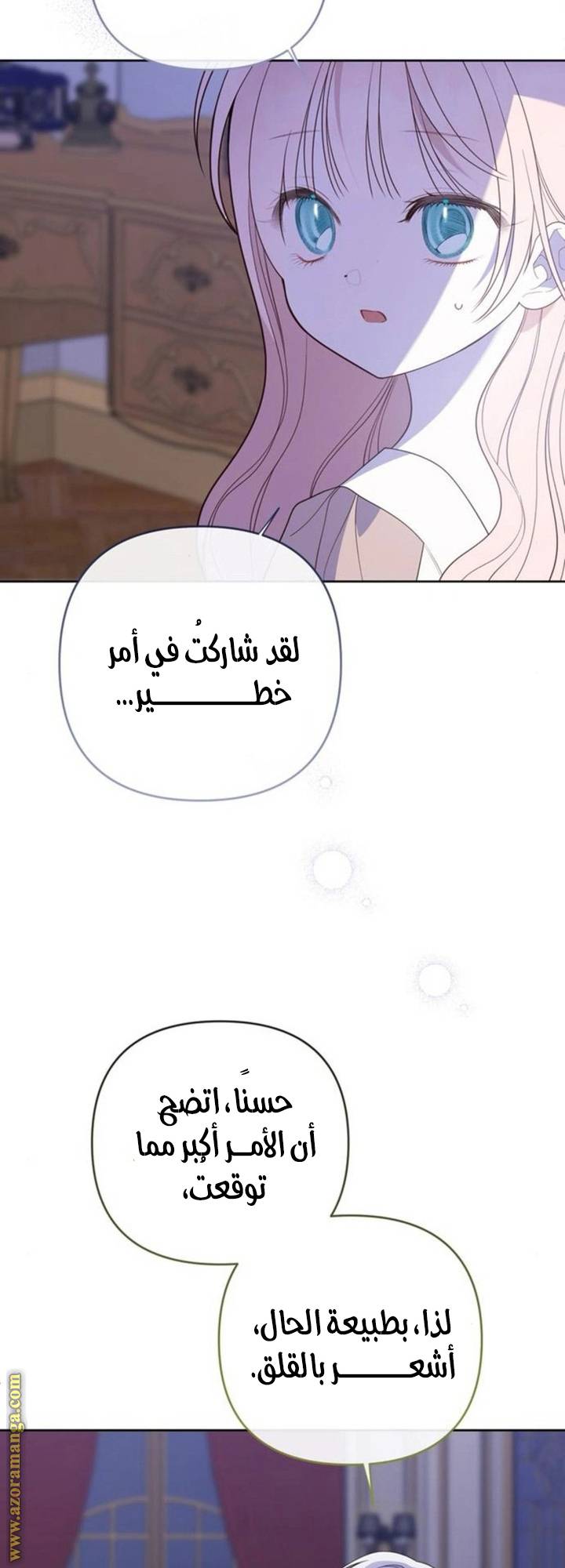 الصفحة 29