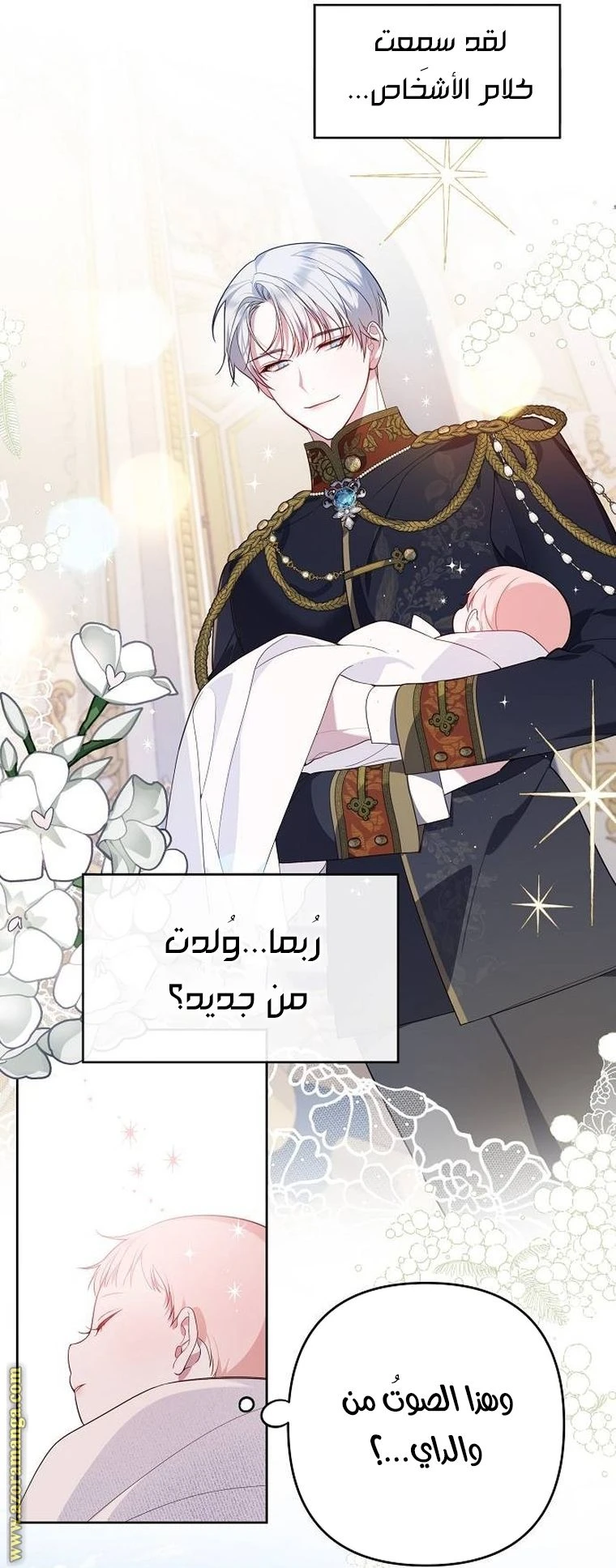 الصفحة 20