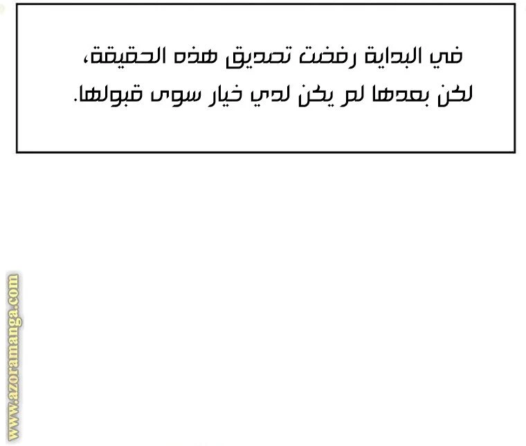 الصفحة 29