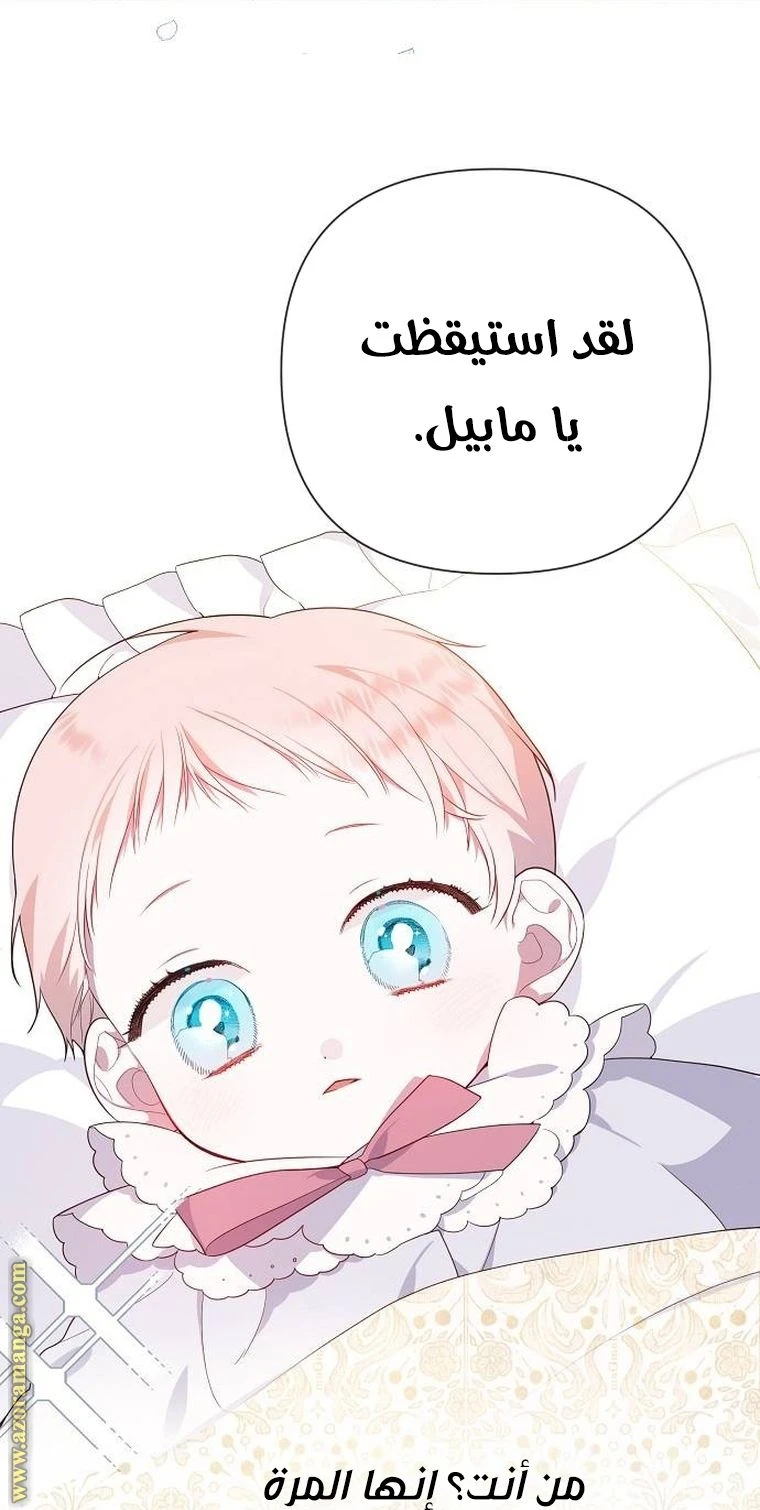 الصفحة 43