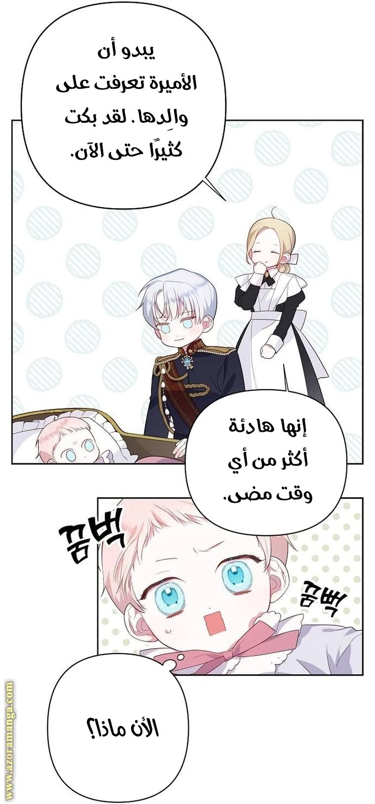 الصفحة 46