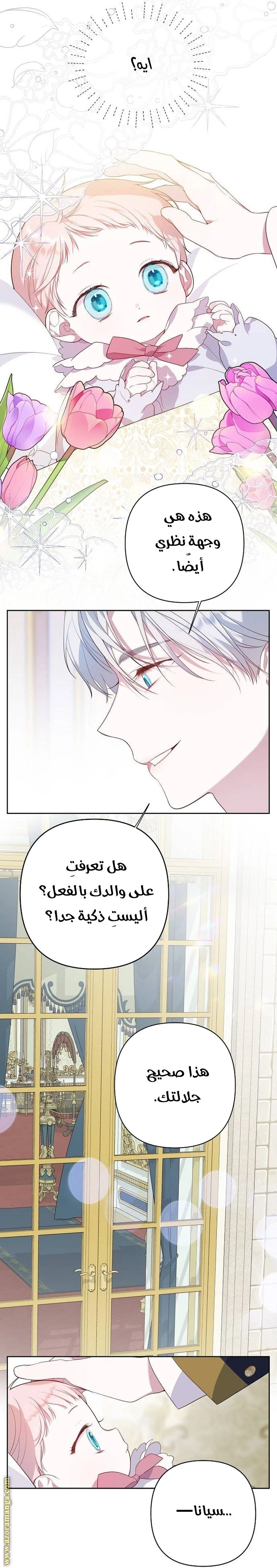 الصفحة 51