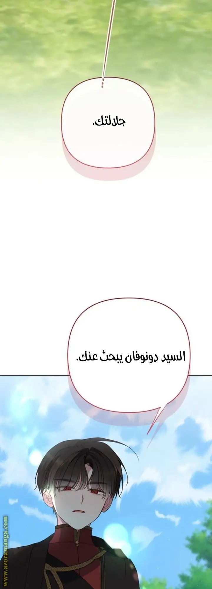 الصفحة 27