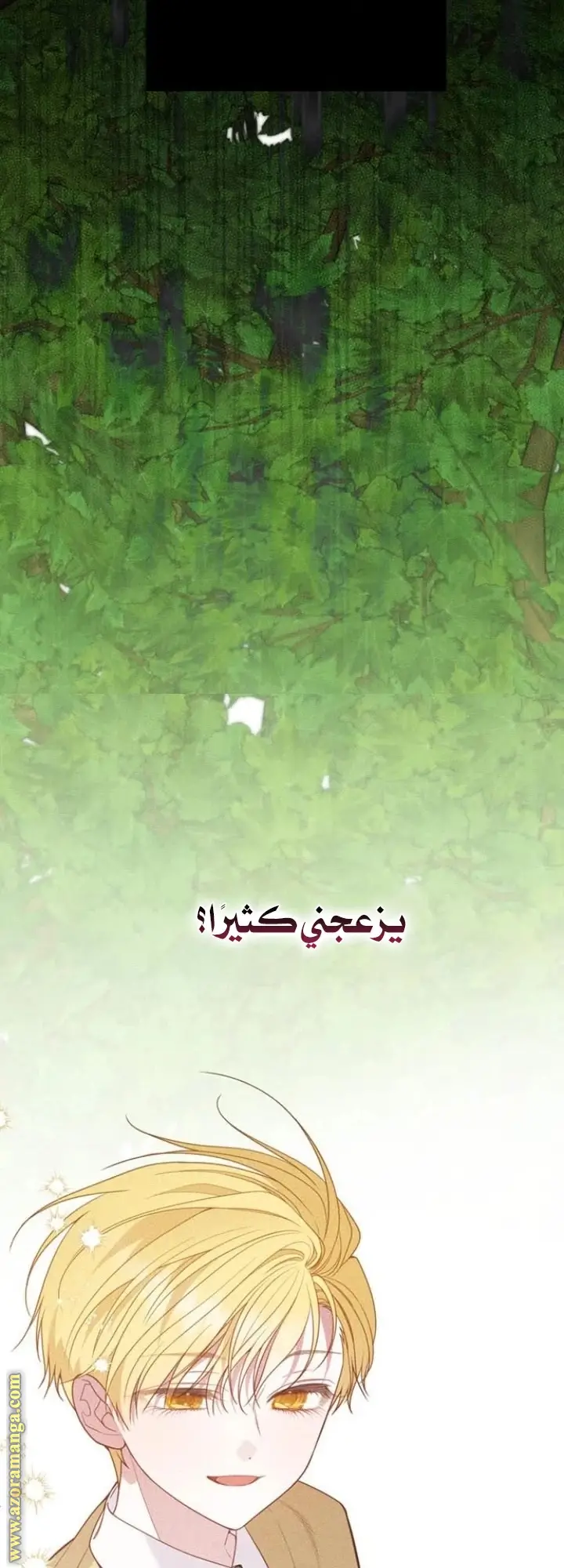 الصفحة 40