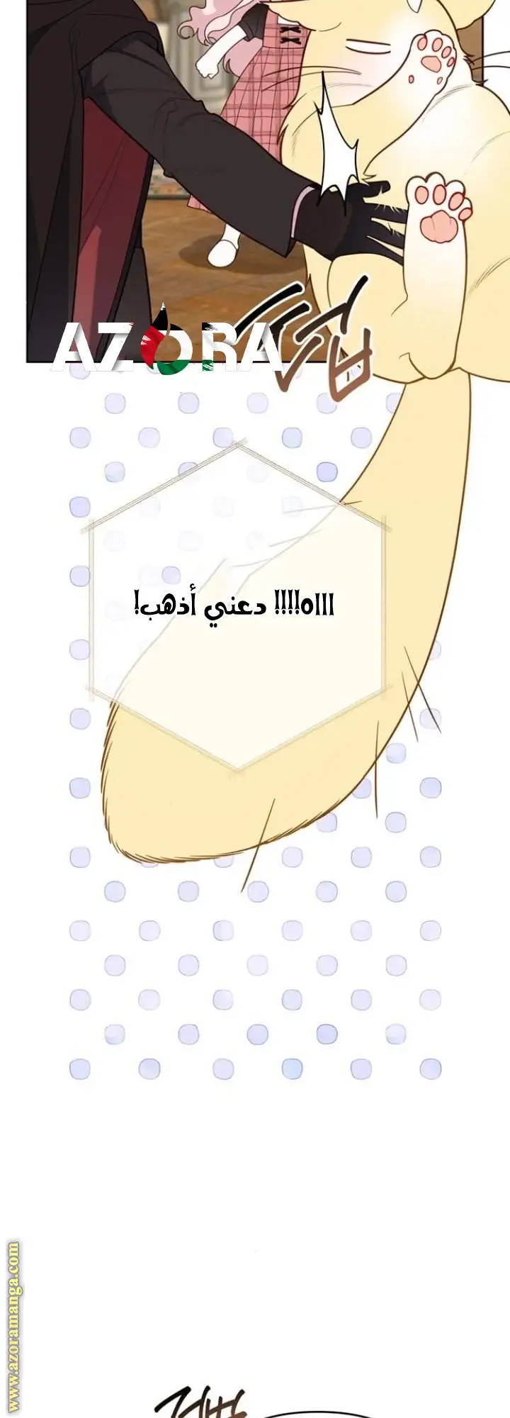 الصفحة 51