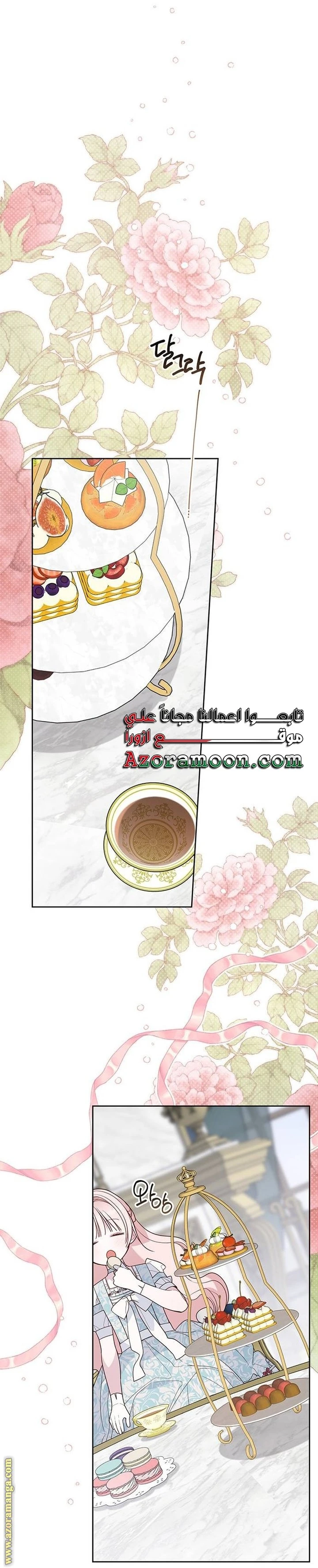 الصفحة 13