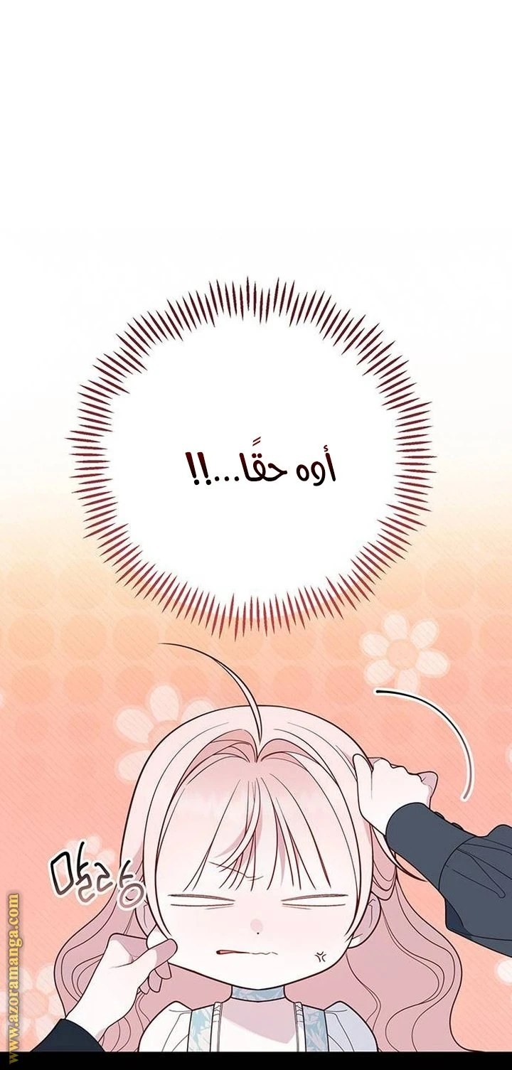 الصفحة 21