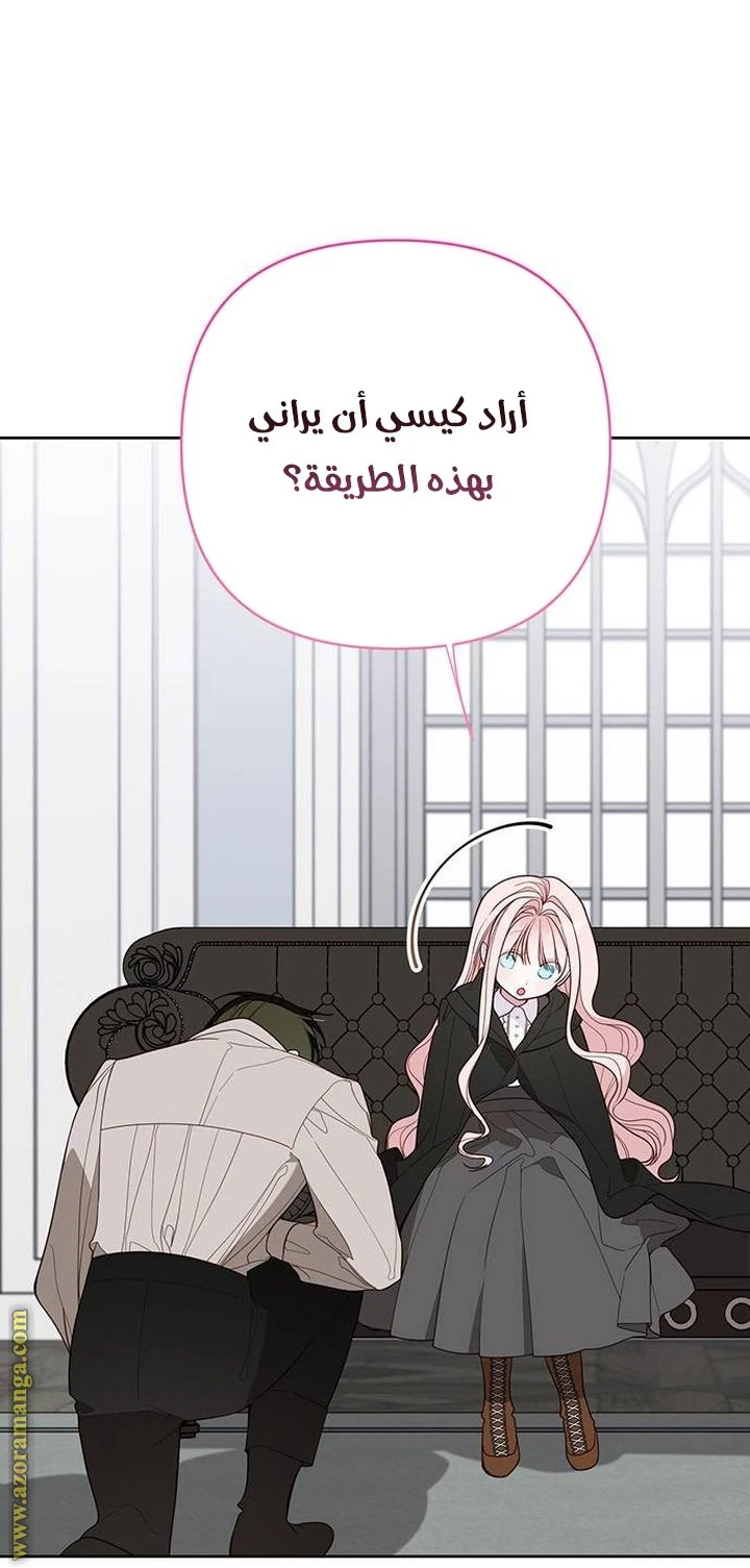 الصفحة 43