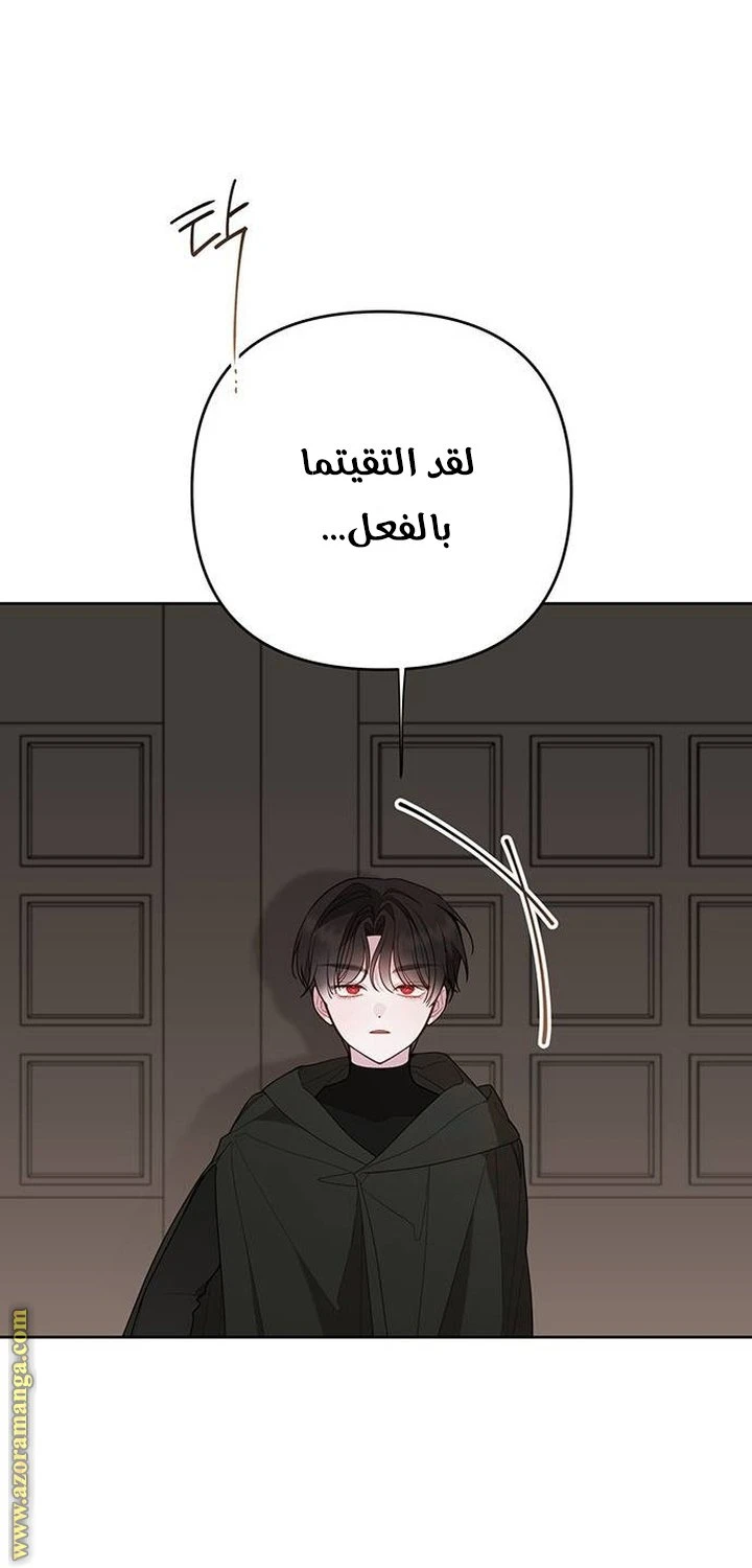 الصفحة 47