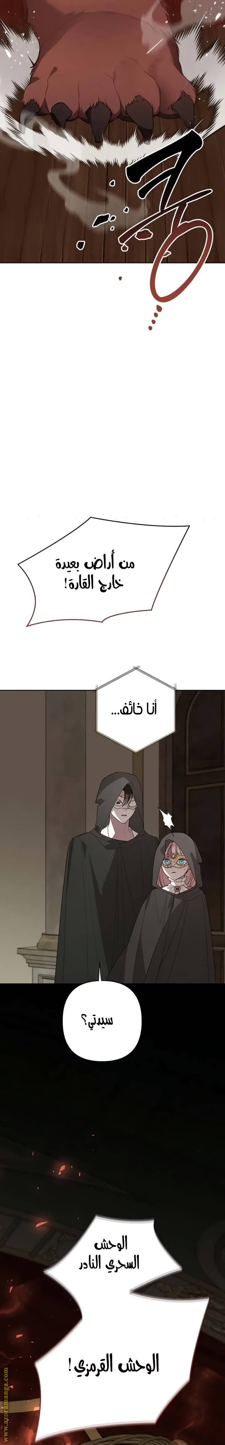 الصفحة 24