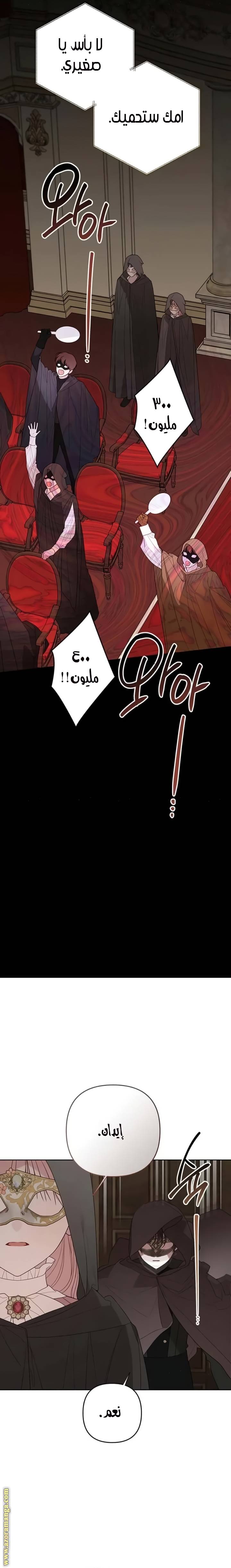 الصفحة 27