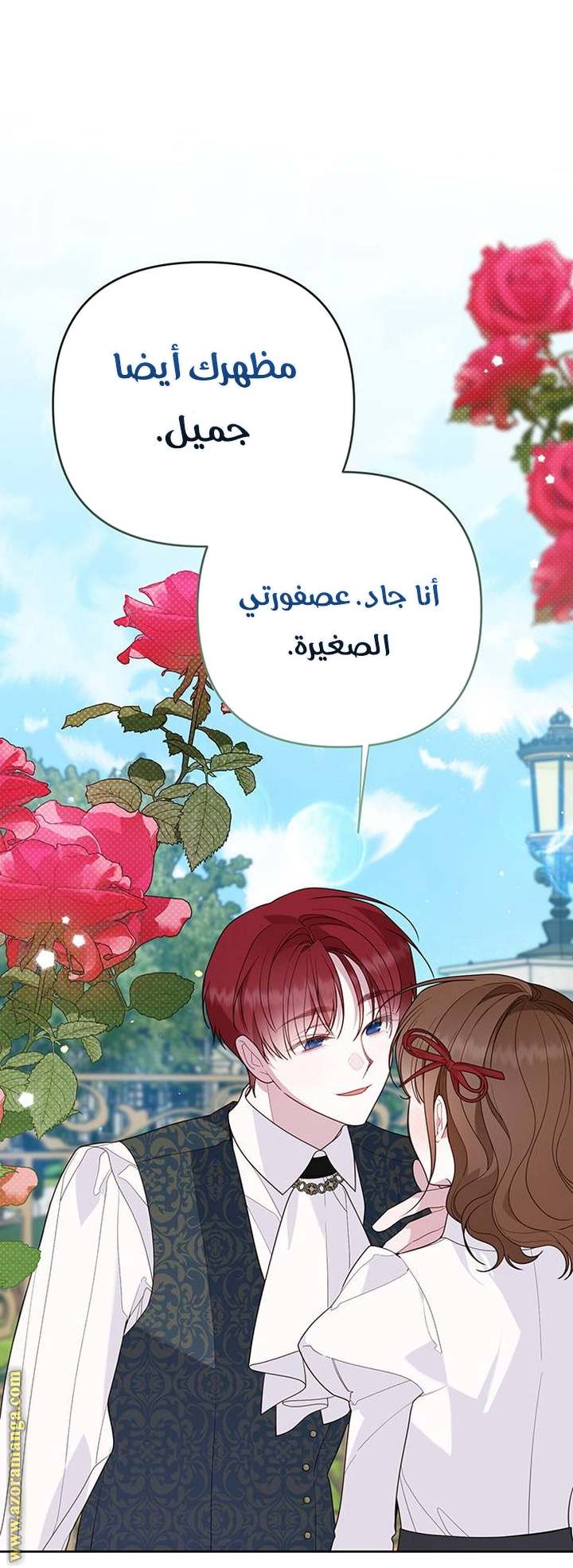 الصفحة 34