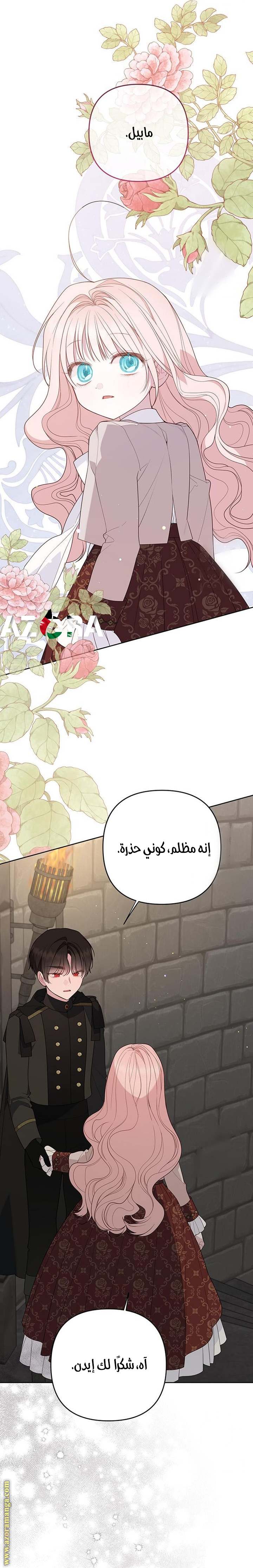 الصفحة 25