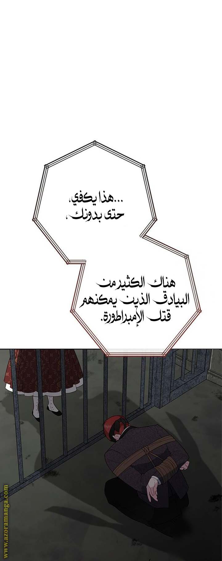 الصفحة 41