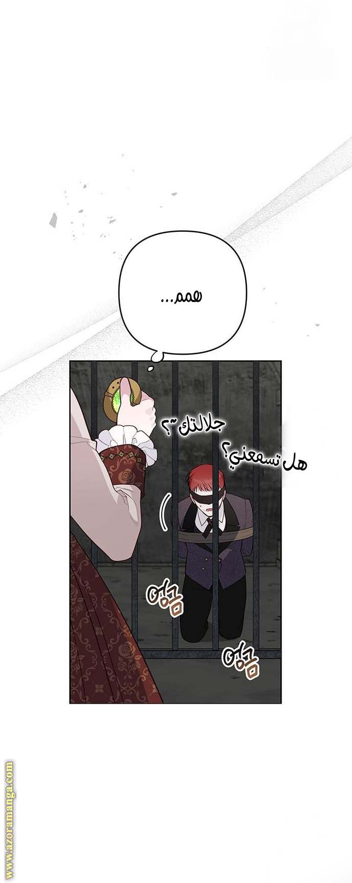 الصفحة 47