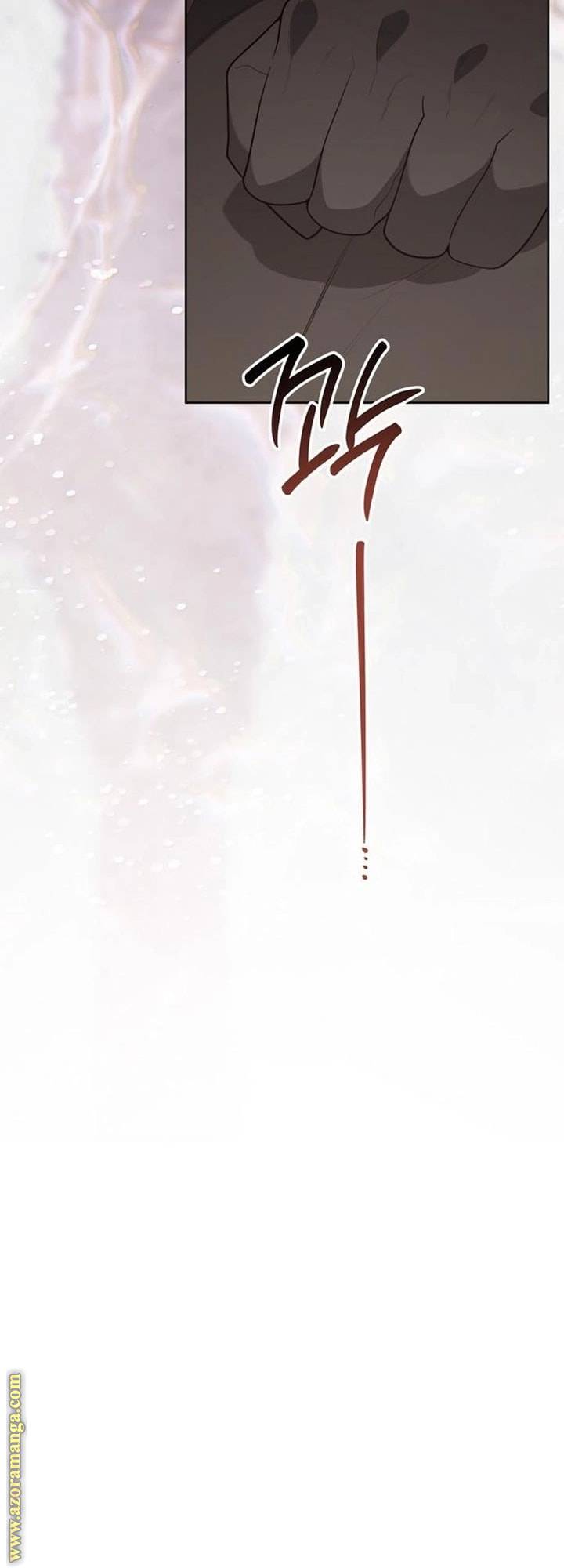 الصفحة 43