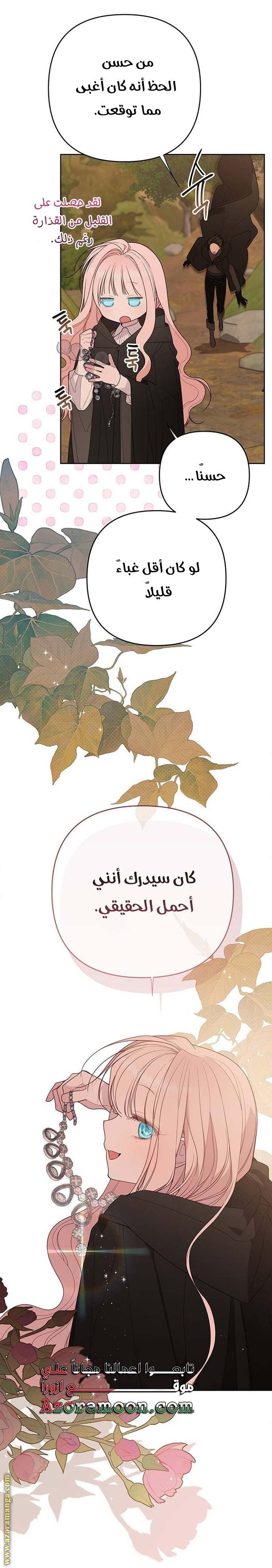 الصفحة 17