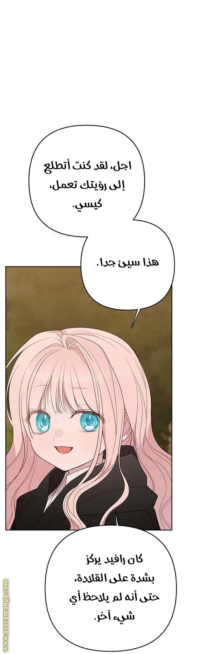 الصفحة 19