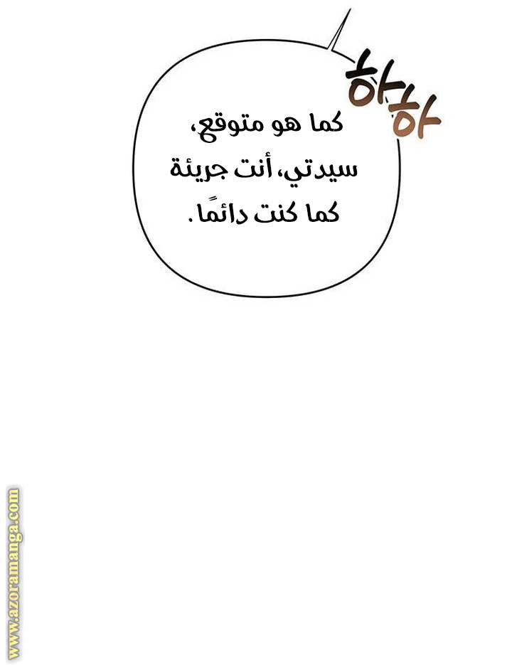الصفحة 24
