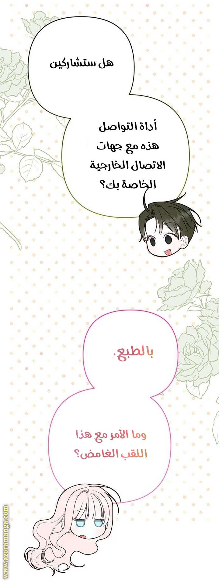 الصفحة 25