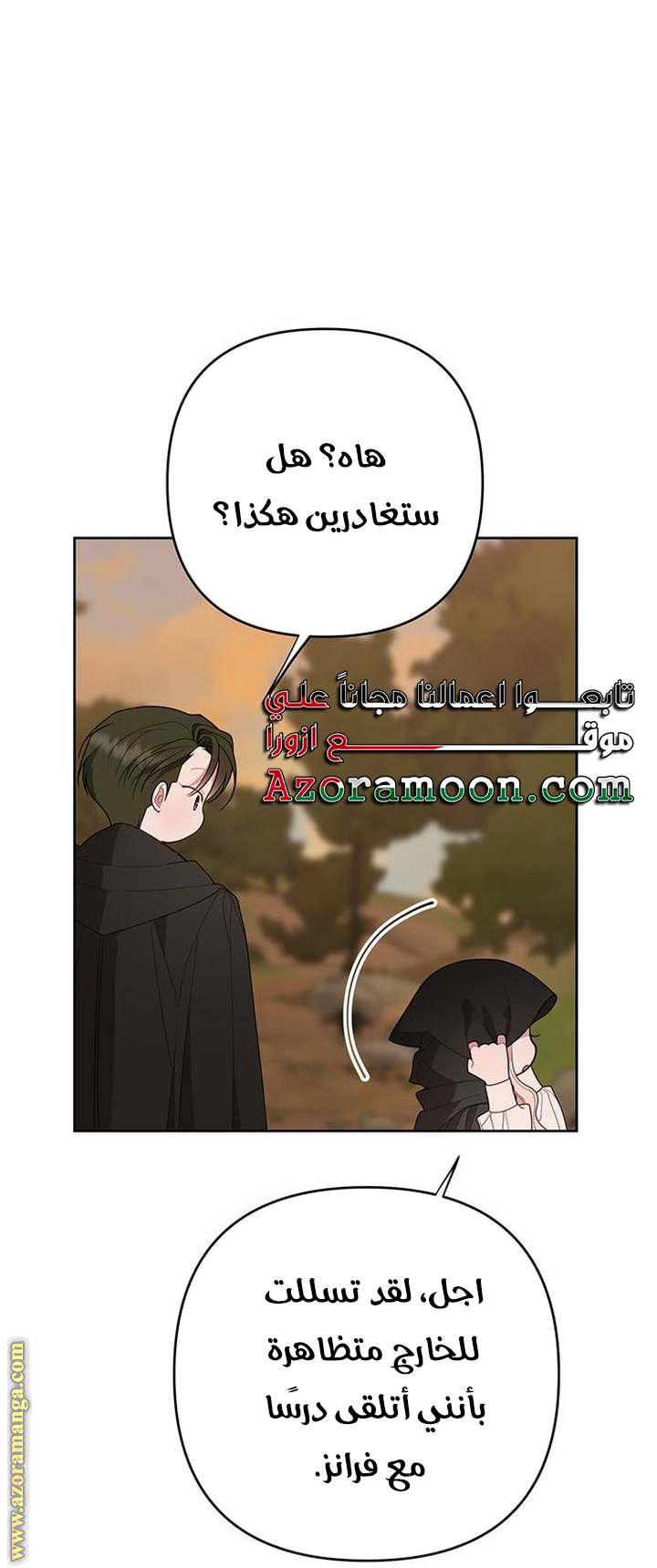 الصفحة 29