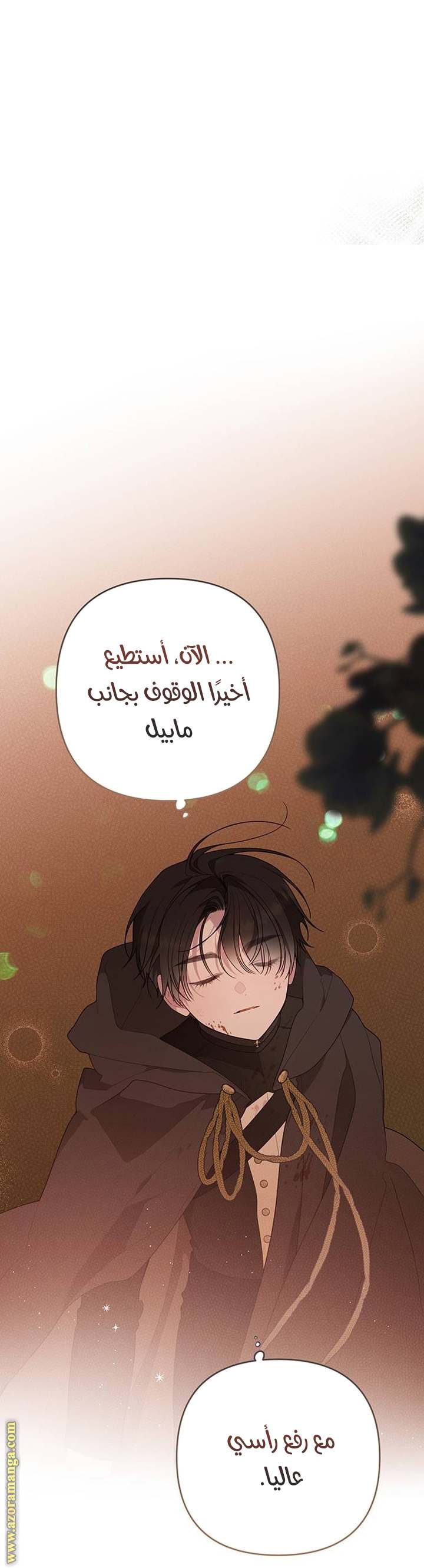 الصفحة 39