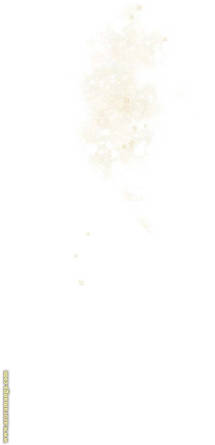الصفحة 41