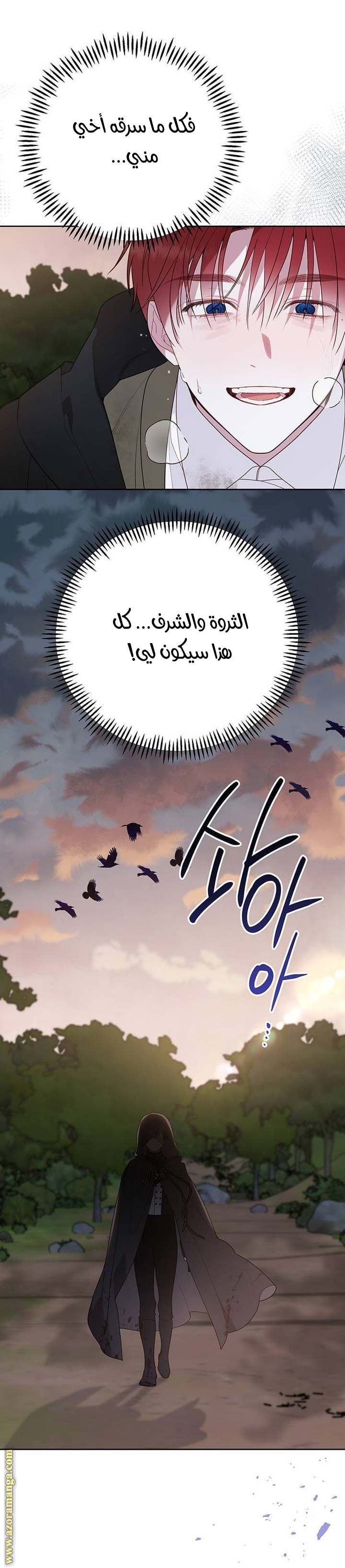 الصفحة 45